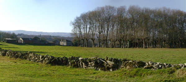 Paisaje gallego