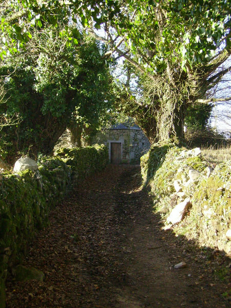 Camino en Galicia