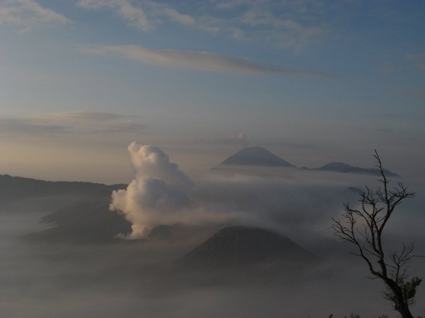 Caldera de Tengger desde Gunung Pananjakan --- Tennger caldera from Gunung Pananjakan