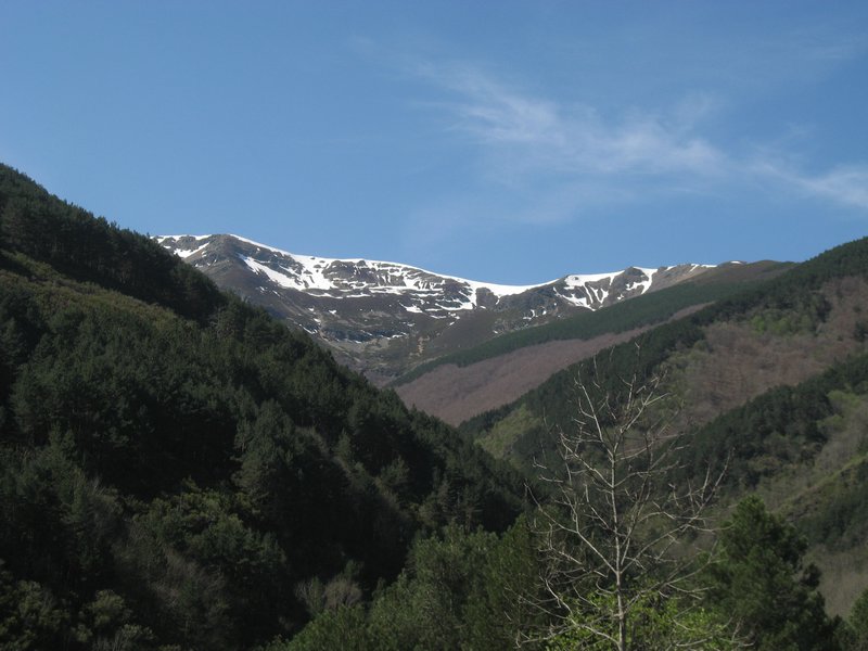 Cerro del Escobar