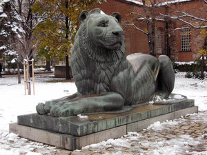 León de Santa Sofía --- Lion of Saint Sofia