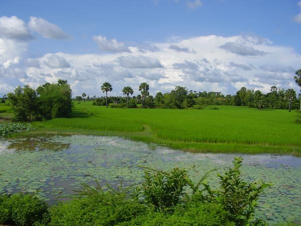 beautiful cambodia