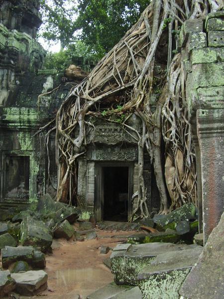 Part of Ta Prohm, the "jungle temple"