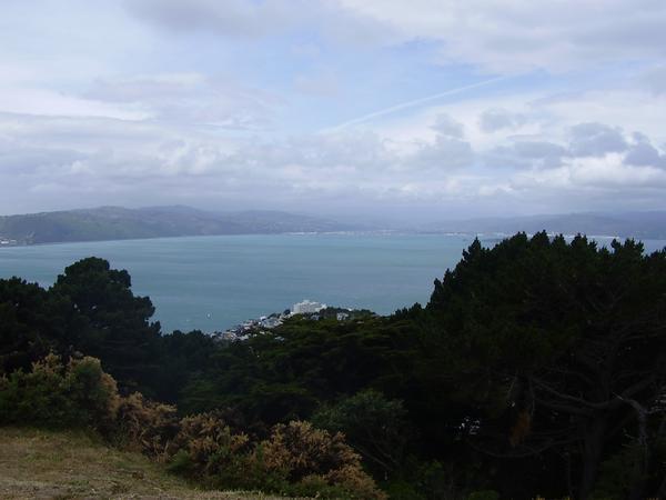 A view from the top of mount victoria in wellington