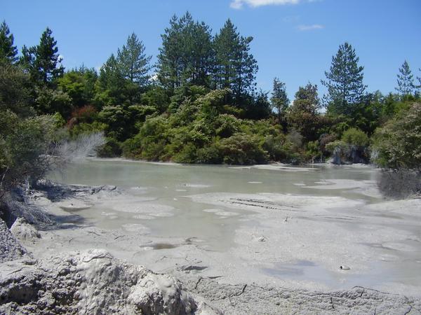 Boiling mud pools/ free face mask