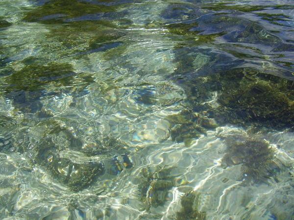 Can you believe how clear the water is?