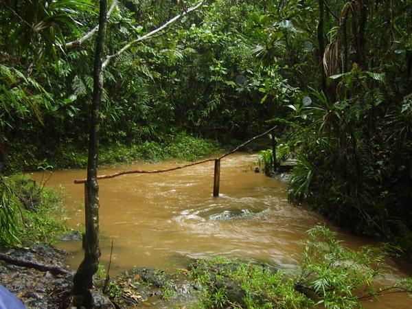 The "path" in Colo-i-Suva Forest Park
