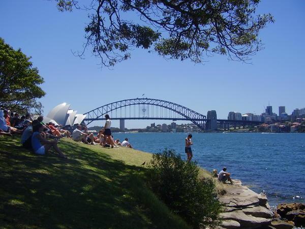 A view of the opera house and harbour bridge from Mrs macquires point 