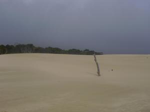 Beautiful Henty Sand Dunes