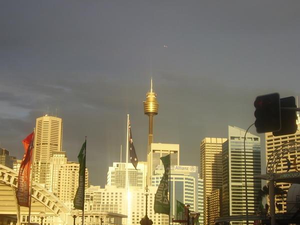 The Sydney tower reflecting the sunset
