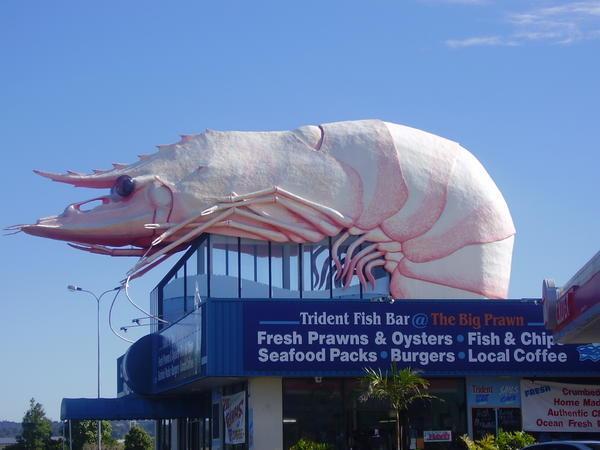 The big prawn