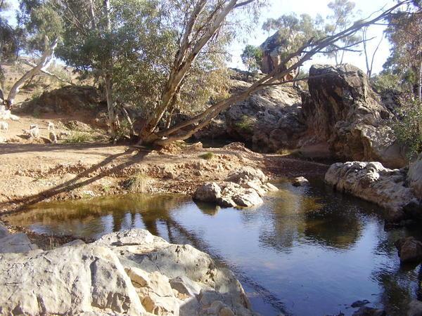 An australian billabong near death rock in the flinders