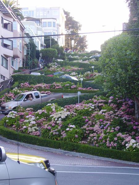 Lombard Street, the "crookedest street in the world"