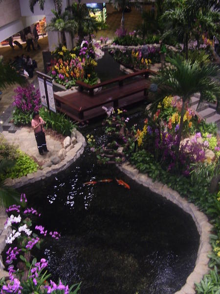 One of the many gardens in singapore airport