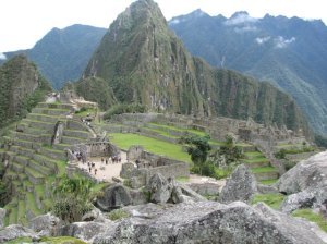 The Picchu