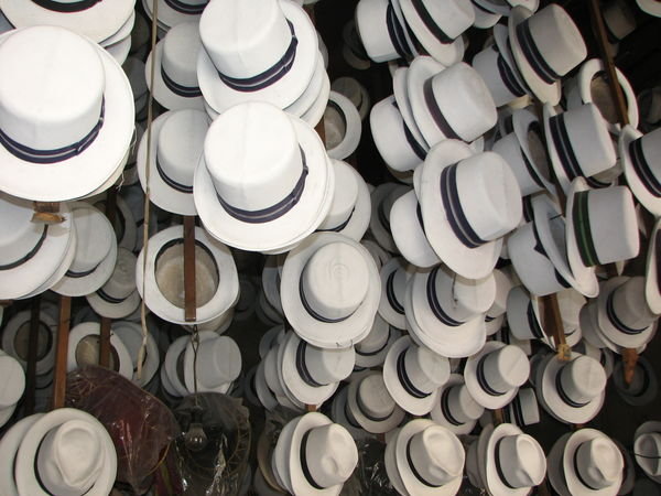 It´s not a Panama hat, it´s a Monticristi!