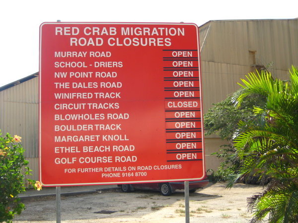 Beware the Red Crabs!