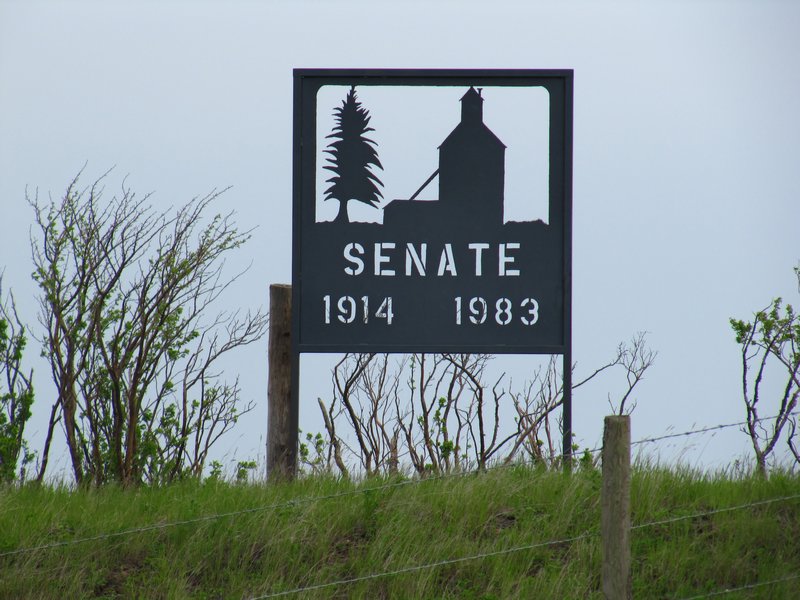 Tombstone for the town of Senate