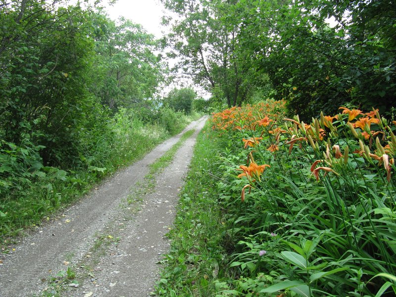 A Nicer Section of the NB Trail