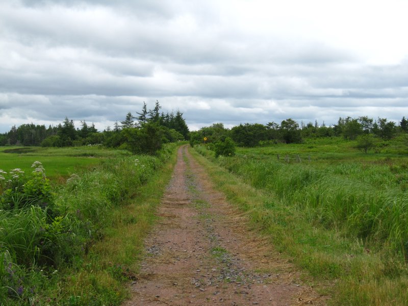 The NB Trail en route to PEI