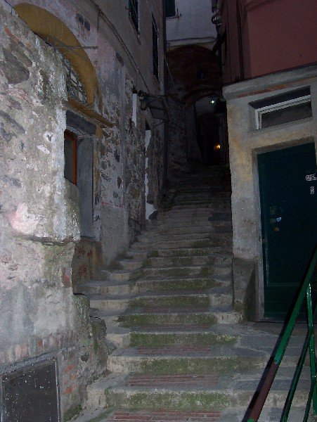 our alley. Vernazza, IT
