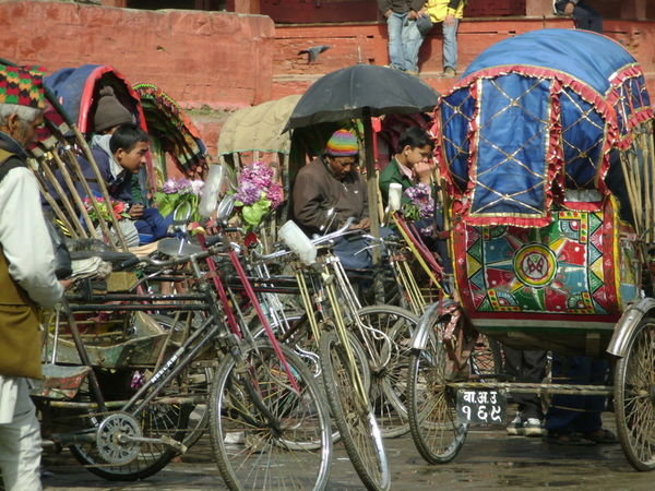 The rickshaw boys