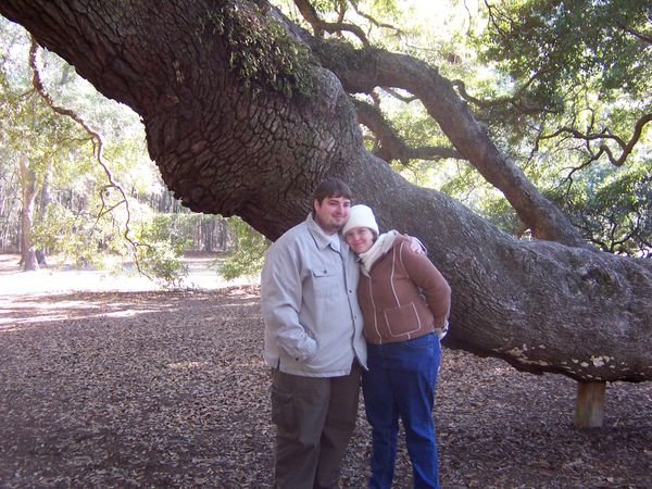 Angel Oak