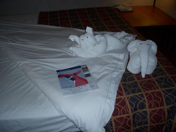 Animals left in our stateroom