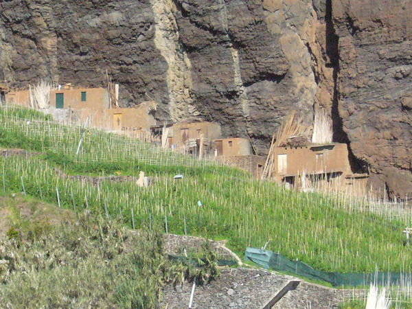 Farms at base of cliff