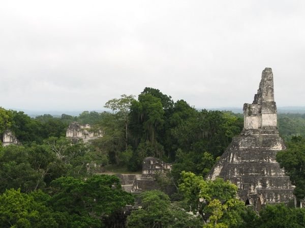 Ruin at Tikal