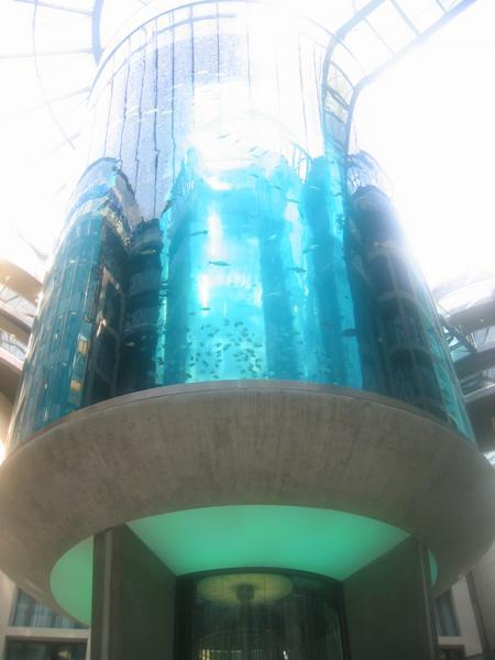 The Giant Aquarium