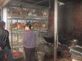 Poultry market