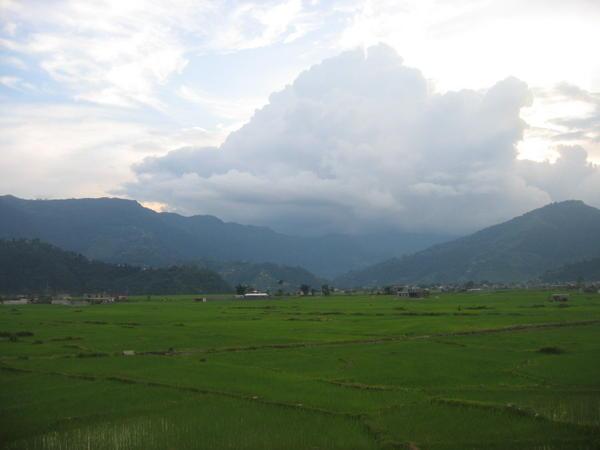 Surounding rice paddys