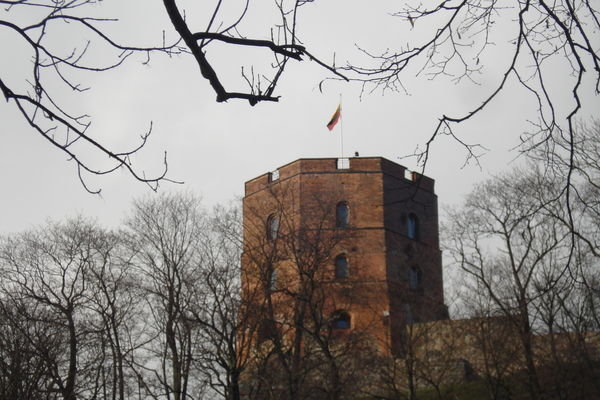 Grdiminas Tower