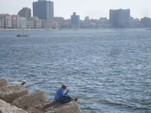 Fishing on the Alexandrian coast