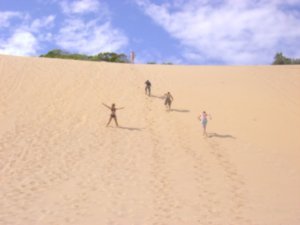 Sand dune on Fraser