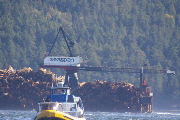 logging going on while we watched orcas 