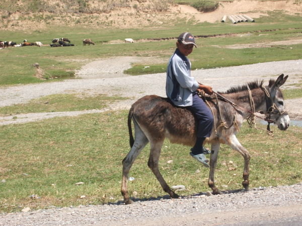 Boy on a donkey 300508