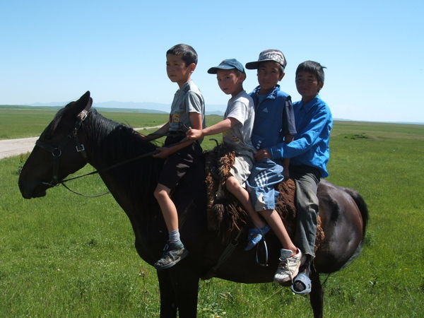 Four boys on a horse 120608