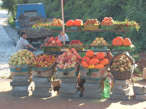 Fruit stall 030808