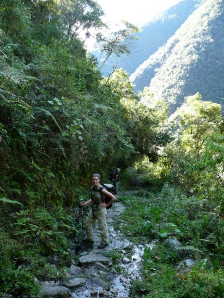 In the Yungas...