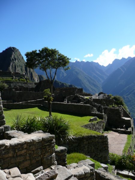 Taken from Machu Picchu