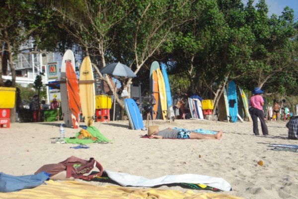 Surfboard rentals all over the beach!