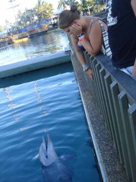 Megan and DolphinQ