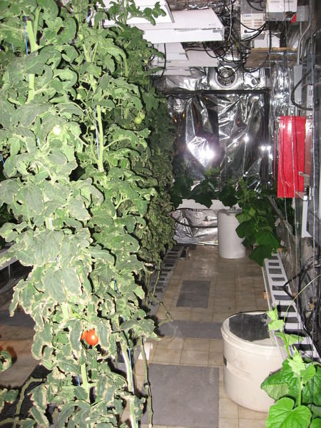 McMurdo Greenhouse