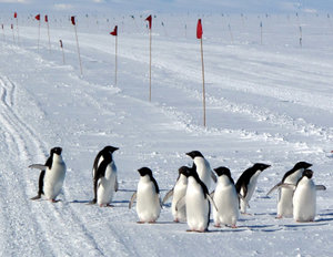 Antarctica 2009 - 2010 Season