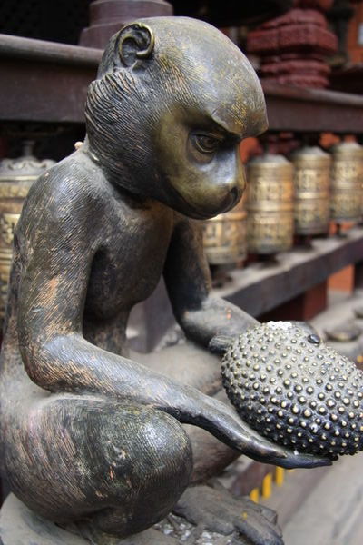 Monkey offering jackfruit