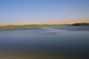 Cold water lake in the desert