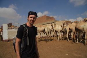 Dan in camel land