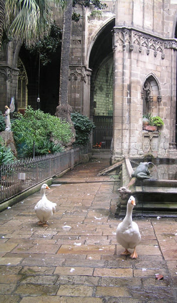 Geese in the church